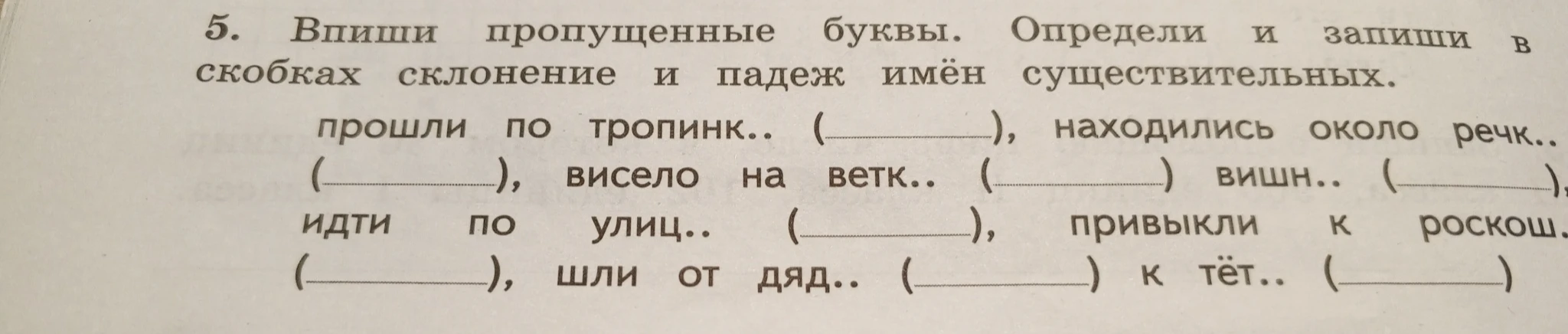5. Впиши пропущенные буквы. Определи и запиши в скобках склонение и падеж имён существительных.