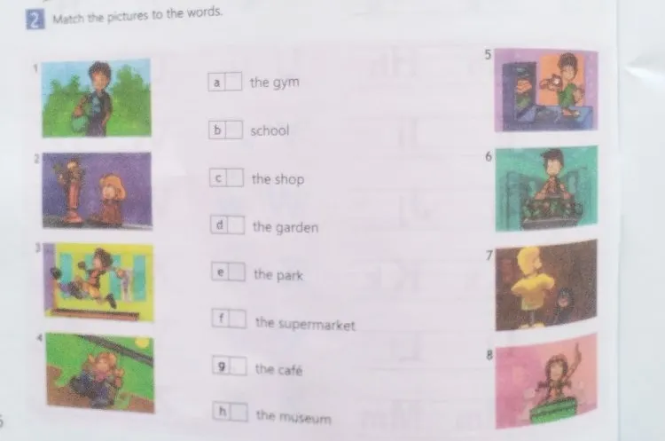 Match the pictures to the words.