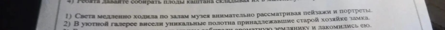 Света медленно ходила по залам музея внимательно рассматривая пейзажи и портреты.