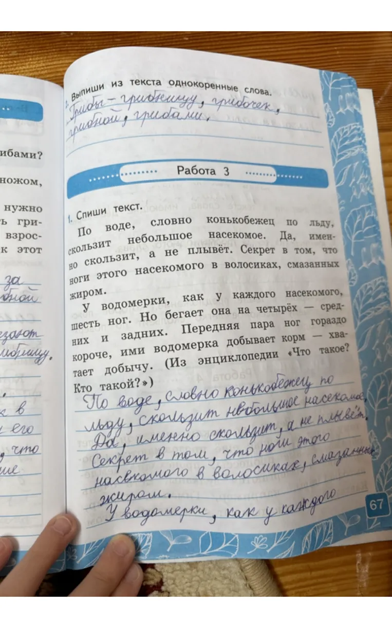 Подчеркни в тексте слова, имеющие два корня.