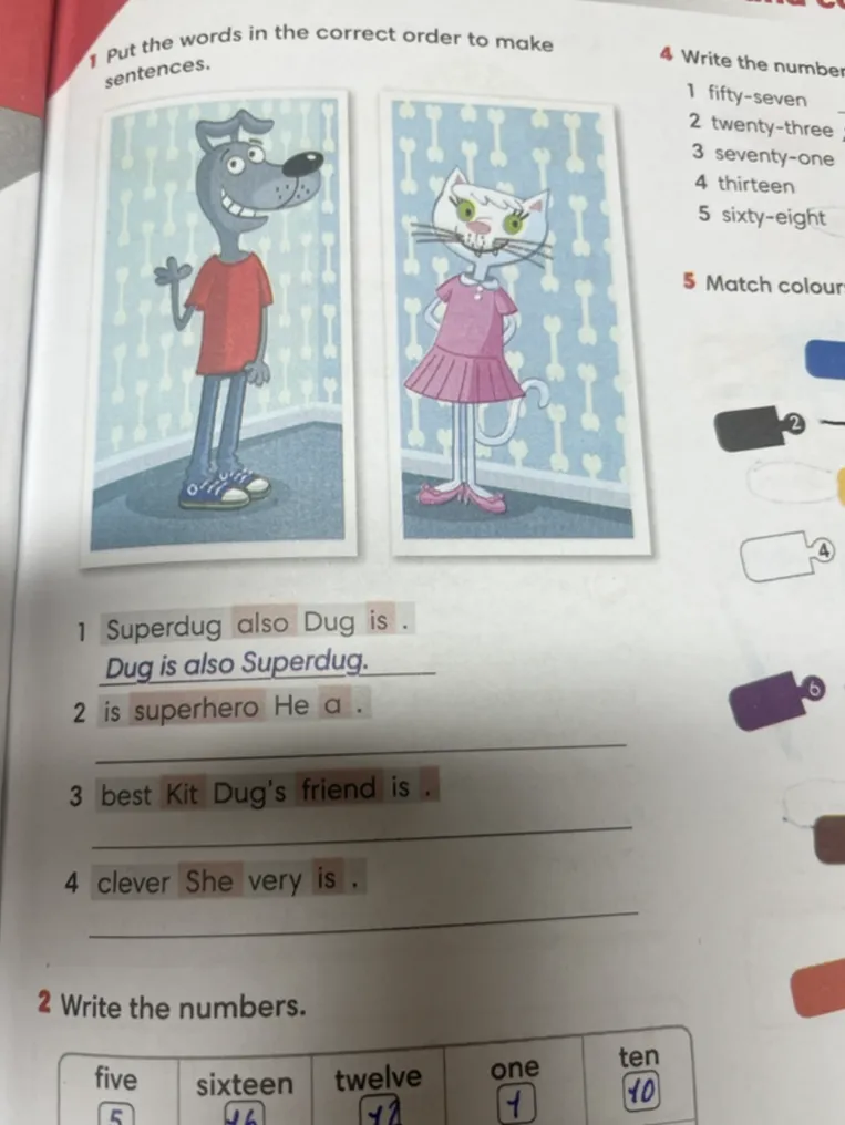 Put the words in the correct order to make sentences.