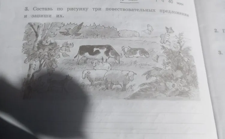 Составь по рисунку три повествовательных предложения и запиши их.