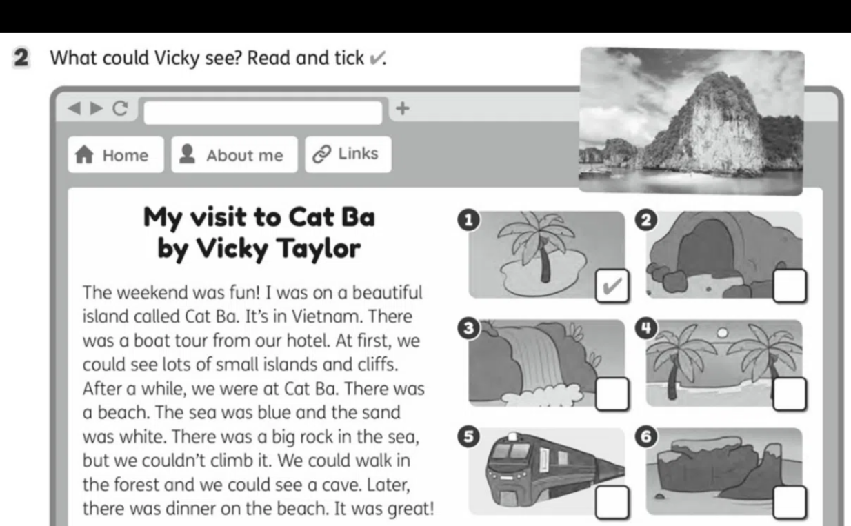 What could Vicky see? Read and tick.