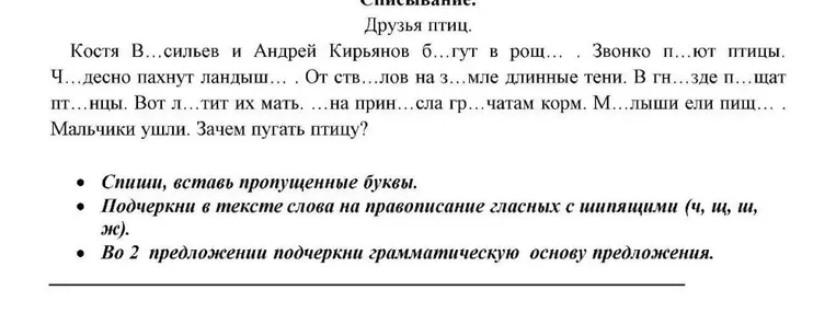 Спиши, вставь пропущенные буквы.