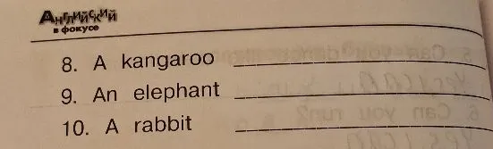 8. A kangaroo ________ 9. An elephant ________ 10. A rabbit ________