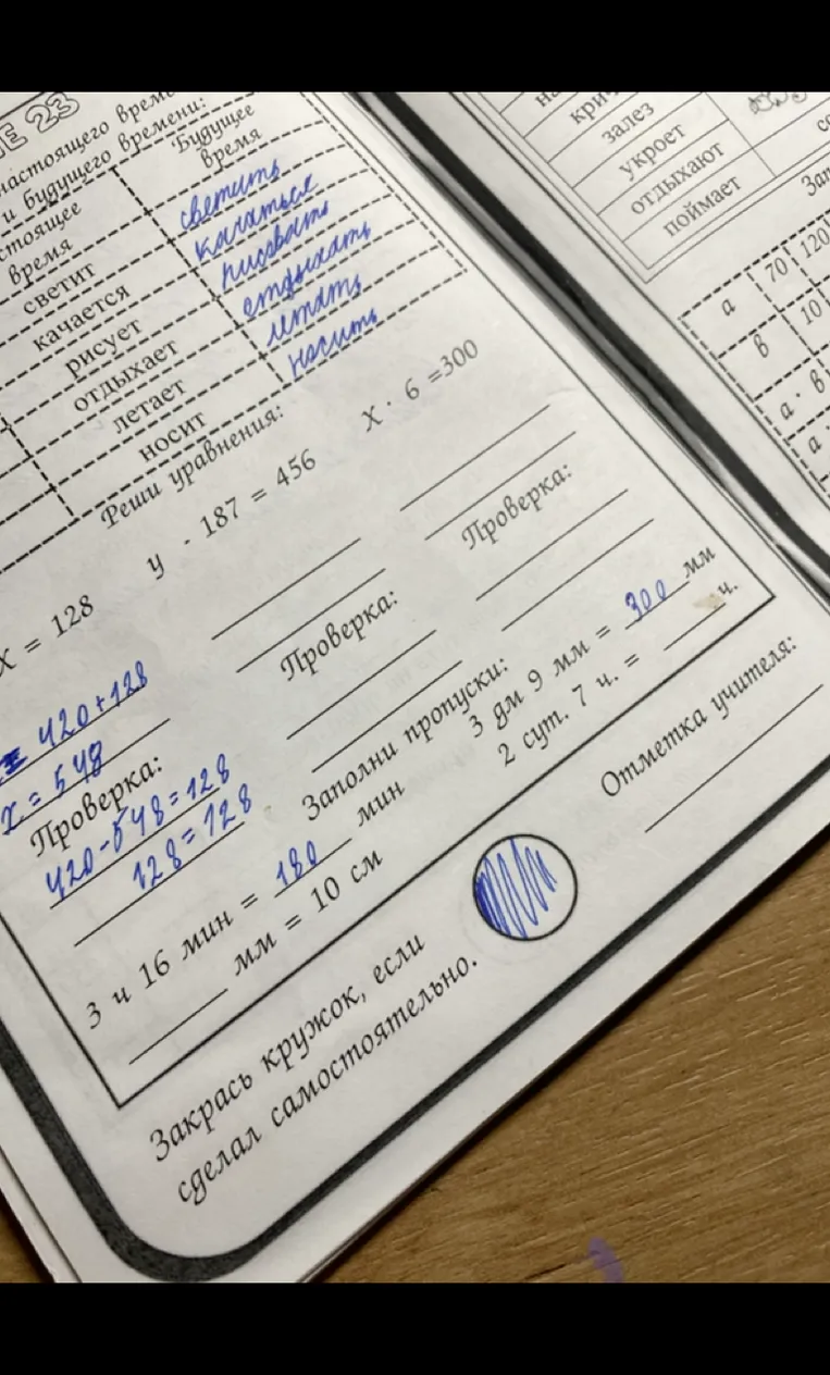 Реши уравнения: y - 187 = 456, X * 6 = 300. Заполни пропуски: 3 дм 9 мм = ... мм, 2 сут. 7 ч. = ... ч., 3 ч 16 мин = ... мин, ... мм = 10 см.