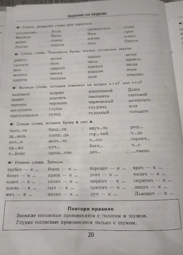 Спиши, разделяя слова для переноса. Спиши слова. Подчеркни буквы мягких согласных звуков. Выпиши слова, которые отвечают на вопрос кто? или что?