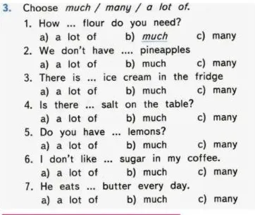 3. Choose much / many / a lot of.