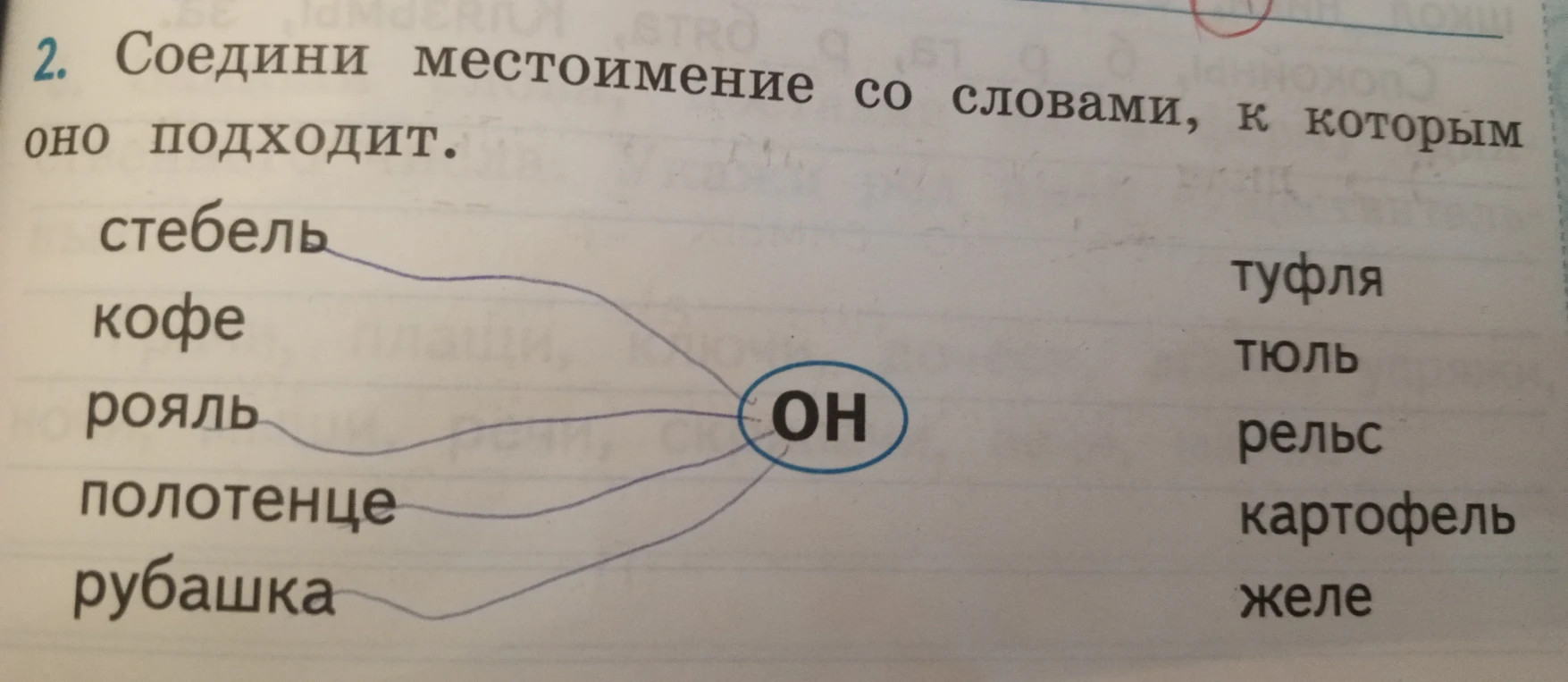 Соедини местоимение со словами, к которым оно подходит.