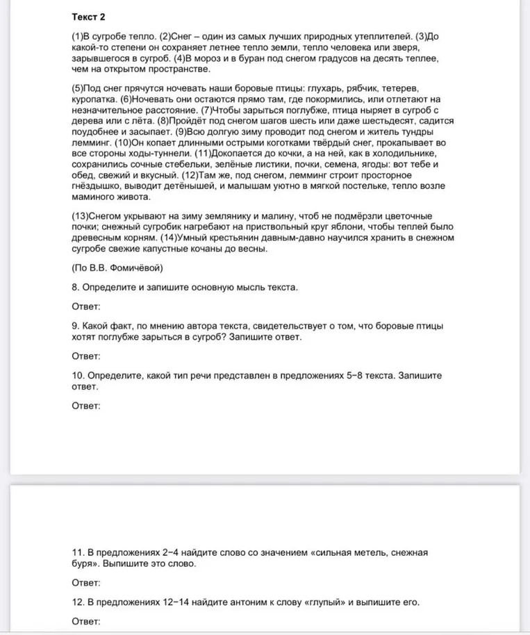 8. Определите и запишите основную мысль текста.