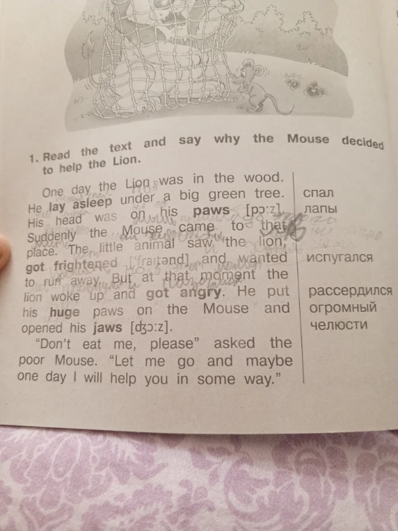 1. Read the text and say why the Mouse decided to help the Lion.