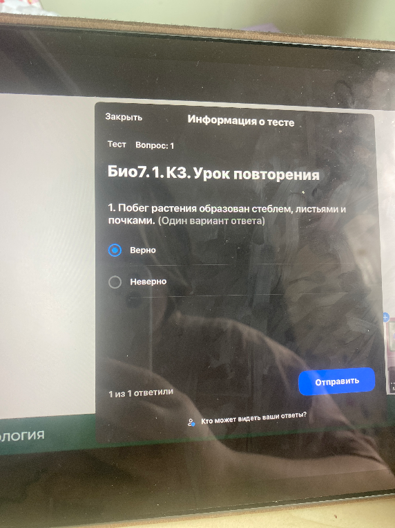 1. Побег растения образован стеблем, листьями и почками.