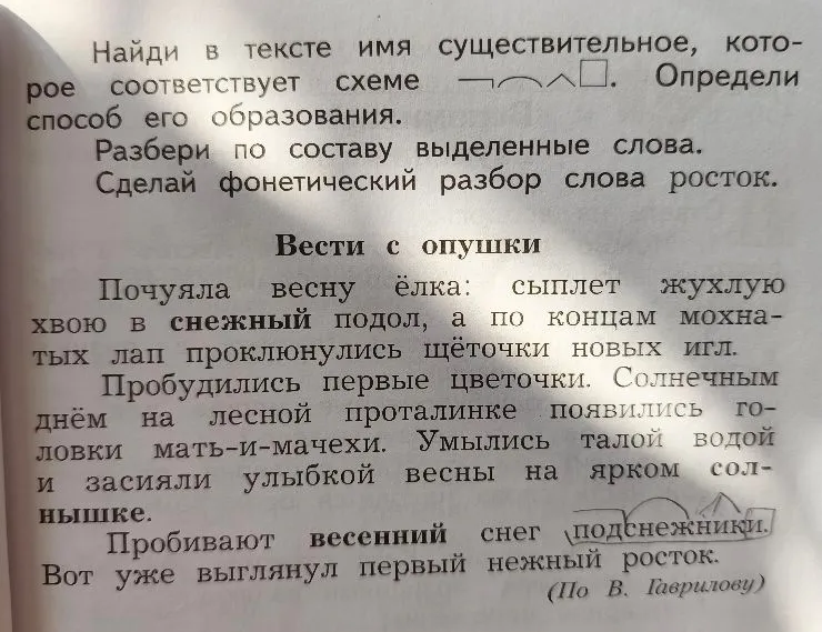 Найди в тексте имя существительное, которое соответствует схеме ¬∩∧□. Определи способ его образования.