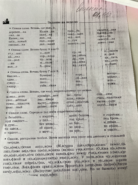 Спиши слова. Вставь, где надо, ь.