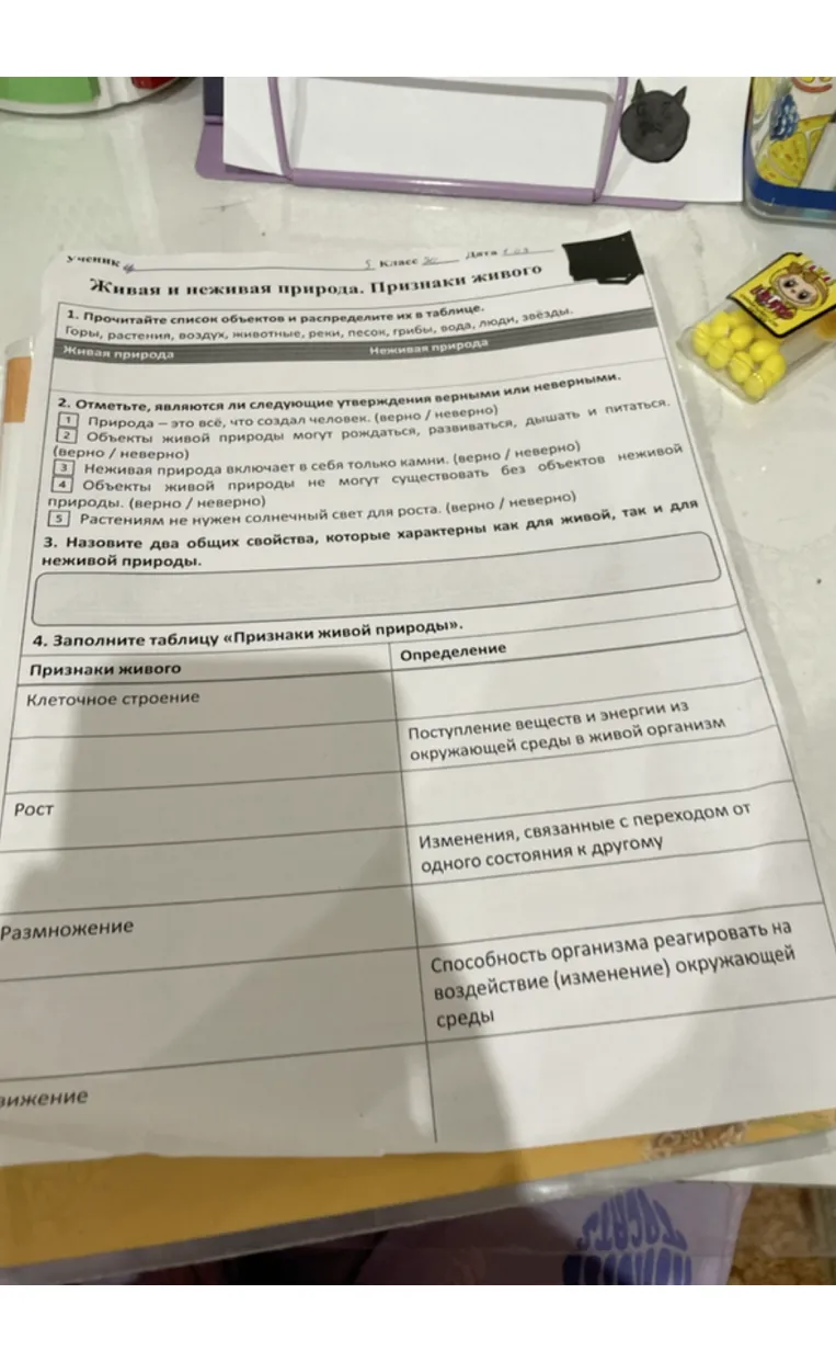 Живая и неживая природа. Признаки живого