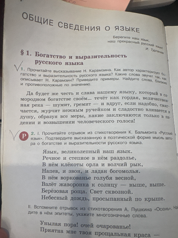 Прочитайте высказывание Н. Карамзина. Как автор характеризует богатство и выразительность русского языка?