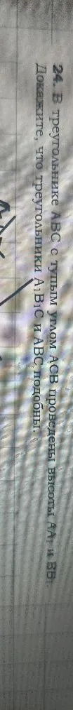 24. В треугольнике АВС с тупым углом АСВ проведены высоты АА1 и ВВ1. Докажите, что треугольники А1В1С и АВС подобны.