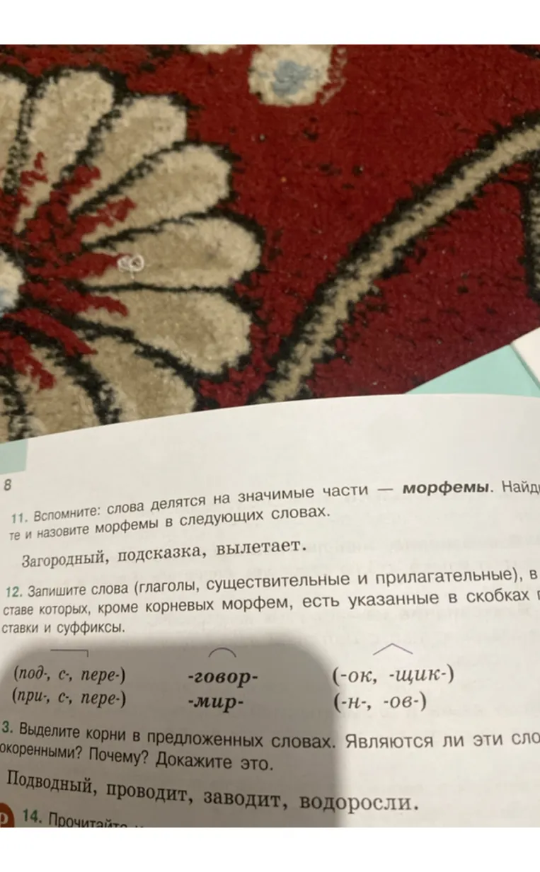 11. Вспомните: слова делятся на значимые части — морфемы. Найдите и назовите морфемы в следующих словах.