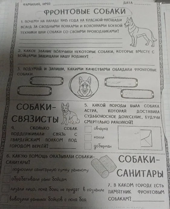 1. ПОЧЕМУ НА ПАРАДЕ 1945 ГОДА НА КРАСНОЙ ПЛОЩАДИ ВСЛЕД ЗА СВОДНЫМИ ПОЛКАМИ И КОЛОННАМИ БОЕВОЙ ТЕХНИКИ ШЛИ СОБАКИ СО СВОИМИ ПРОВОДНИКАМИ?