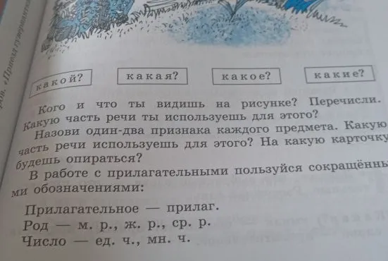 Кого и что ты видишь на рисунке? Перечисли. Какую часть речи ты используешь для этого? Назови один-два признака каждого предмета. Какую часть речи используешь для этого? На какую карточку будешь опираться?