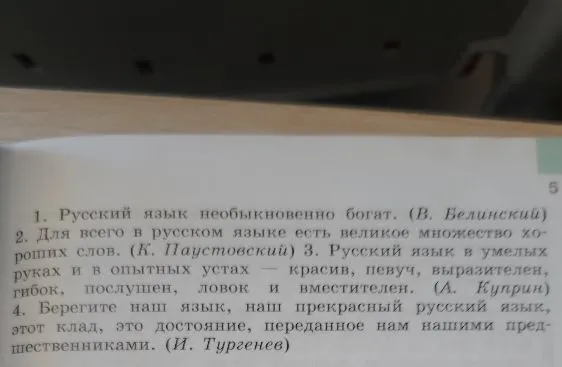 1. Русский язык необыкновенно богат. (В. Белинский)