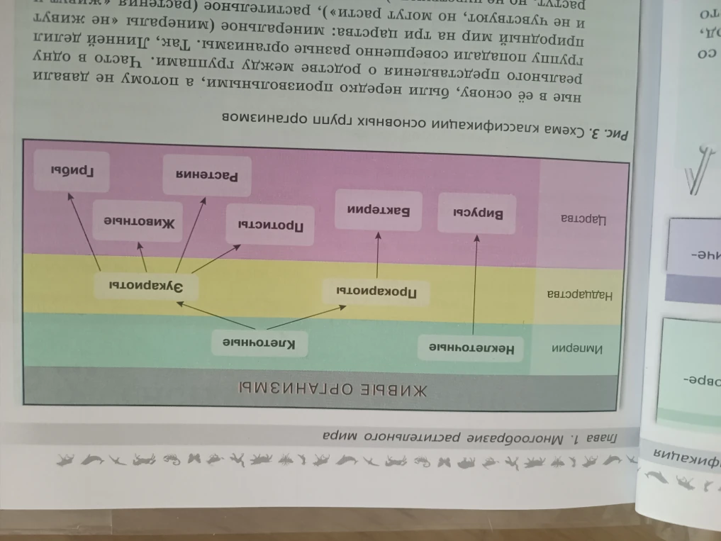 Сделать таблицу