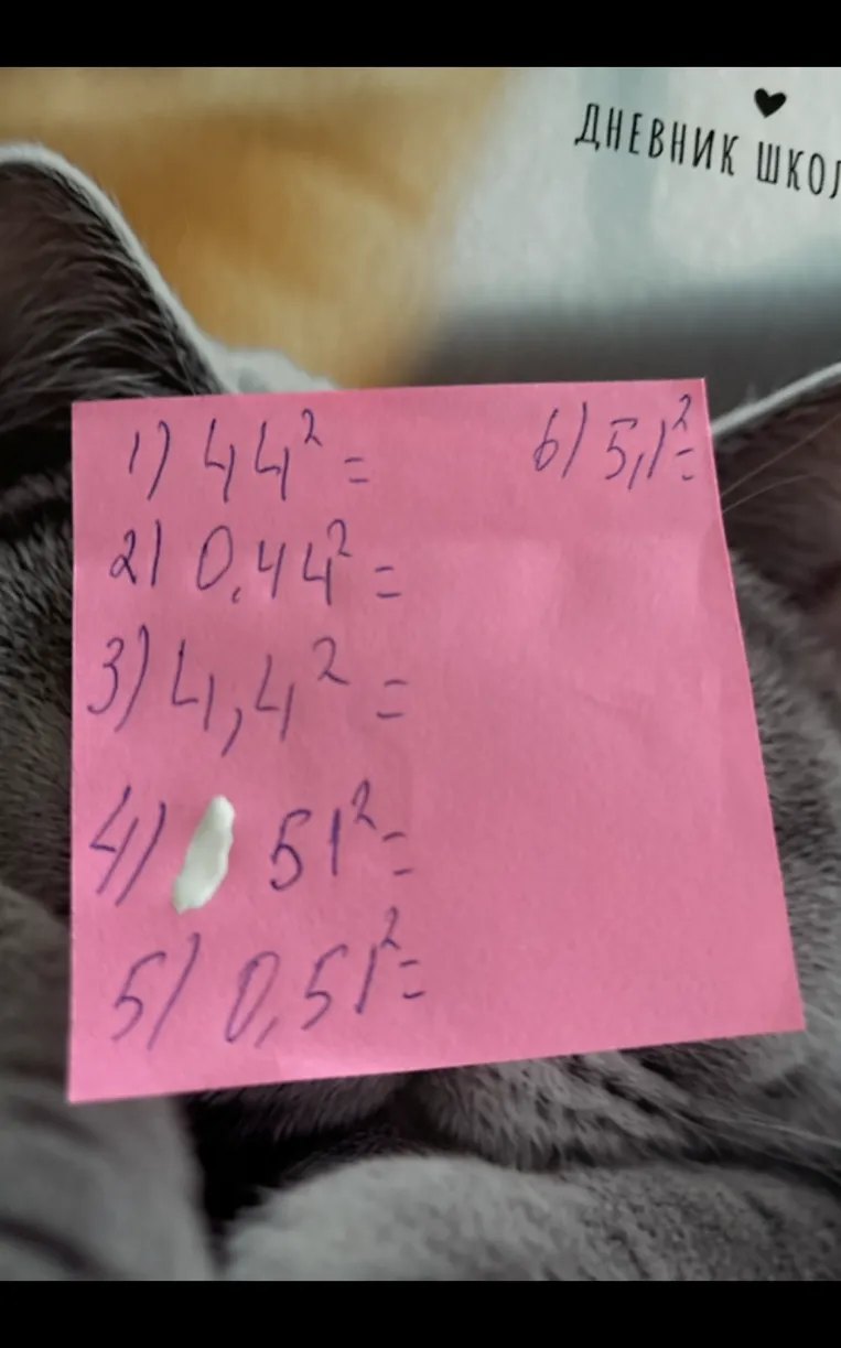 1) 44^2 = 2) 0,44^2 = 3) 4,4^2 = 4) 51^2 = 5) 0,51^2 = 6) 5,1^2 =