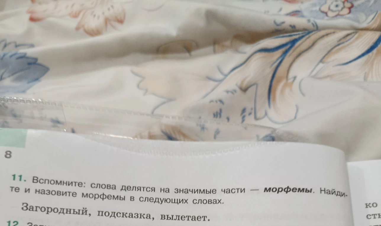 11. Вспомните: слова делятся на значимые части — морфемы. Найдите и назовите морфемы в следующих словах. Загородный, подсказка, вылетает.