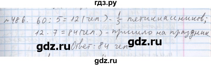 ГДЗ по математике 5 класс  Бунимович  Базовый уровень упражнение - 486, Решебник №1 2014