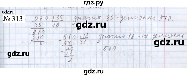 ГДЗ по математике 5 класс  Бунимович  Базовый уровень упражнение - 313, Решебник 2023