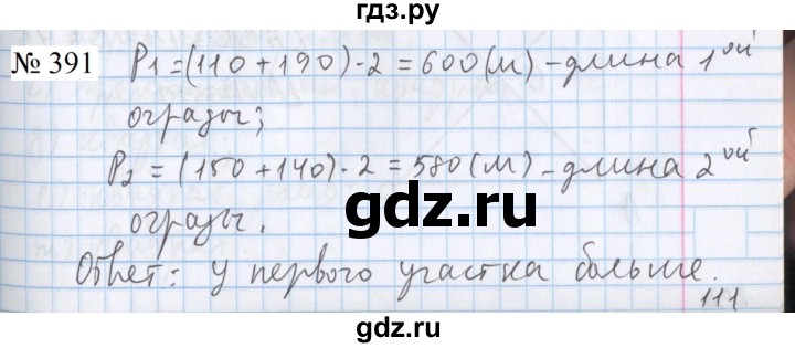 ГДЗ по математике 5 класс  Бунимович  Базовый уровень упражнение - 391, Решебник 2023