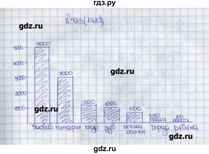Математика 6 класс номер 593. Математика 6 класс номер 1482. Математика 6 класс Виленкин 593. Математика номер 1482. 1482 Номер матем 6 класс Виленкин.
