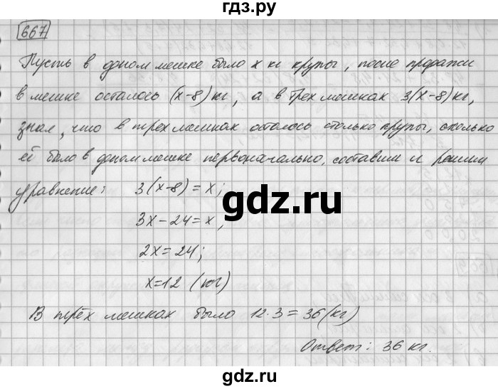 ГДЗ по математике 6 класс Зубарева   номер - 667, Решебник