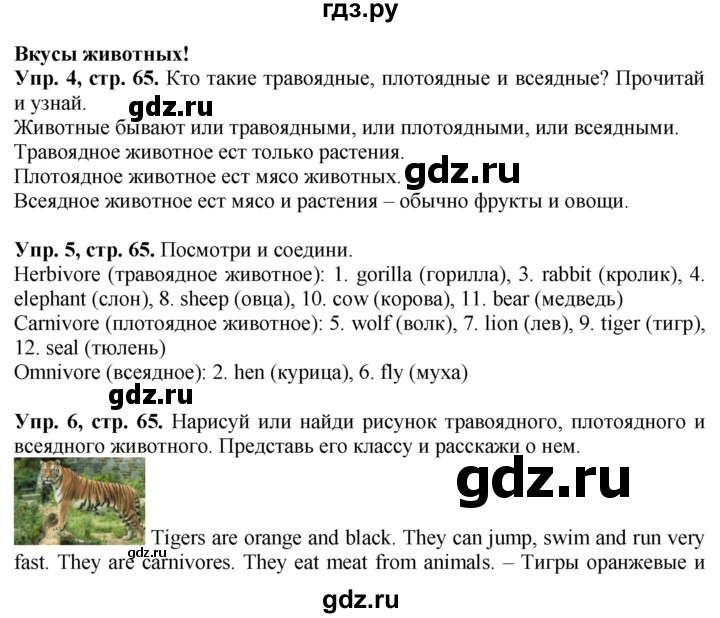 ГДЗ по английскому языку 4 класс Быкова Spotlight  часть 1. страница - 65, Решебник 2021 №1
