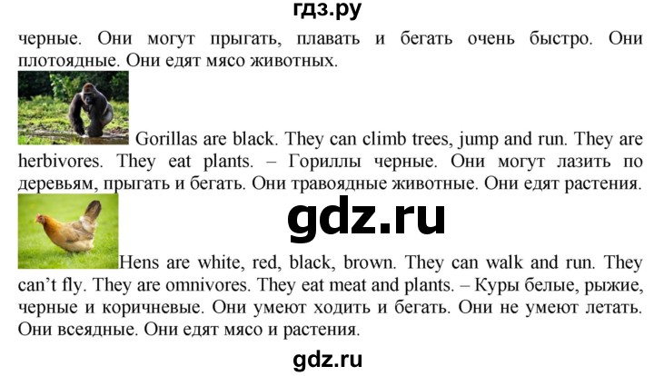 ГДЗ по английскому языку 4 класс Быкова Spotlight  часть 1. страница - 65, Решебник 2021 №1