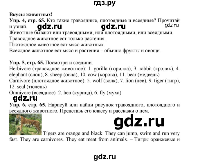 ГДЗ по английскому языку 4 класс Быкова Spotlight  часть 1. страница - 65, Решебник 2015 №1