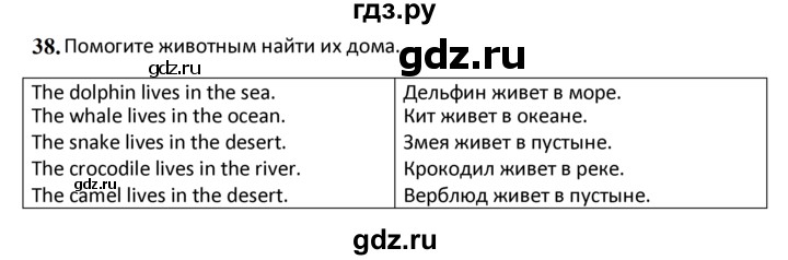 ГДЗ по английскому языку 4 класс  Биболетова Enjoy English  unit 3 / section 1-3 - 38, Решебник 2024