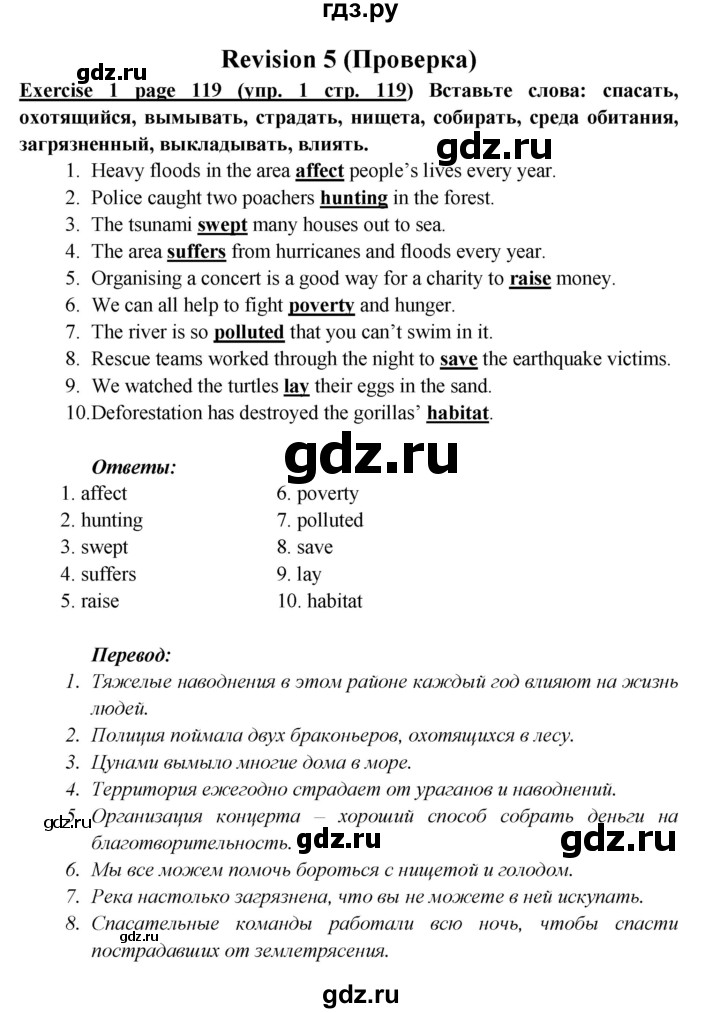 ГДЗ по английскому языку 6 класс  Баранова  Углубленный уровень страница - 119, Решебник к учебнику 2017
