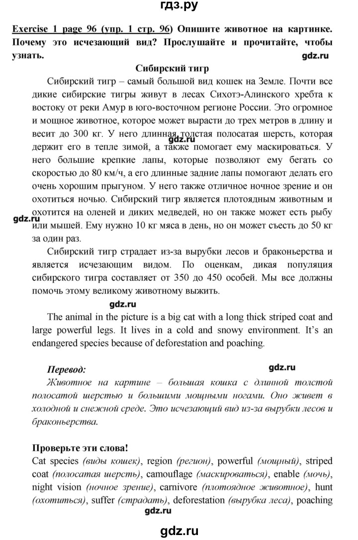 ГДЗ страница 96 английский язык 6 класс Звездный английский Эванс, Дули