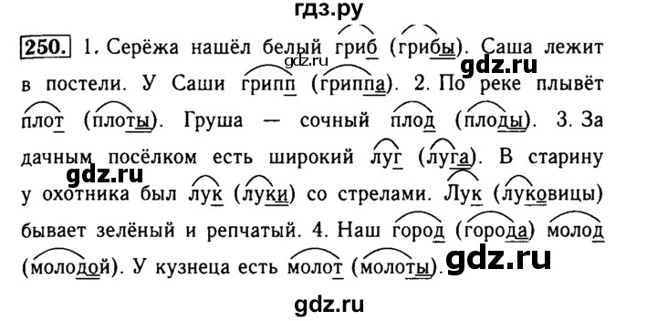 ГДЗ по русскому языку 2 класс  Бунеев   упражнение - 250, Решебник №3