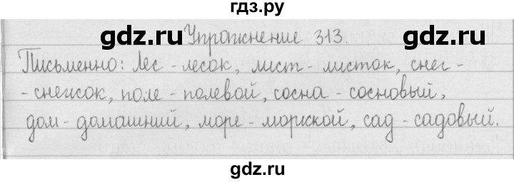 ГДЗ по русскому языку 2 класс  Рамзаева   упражнение - 313, Решебник №1