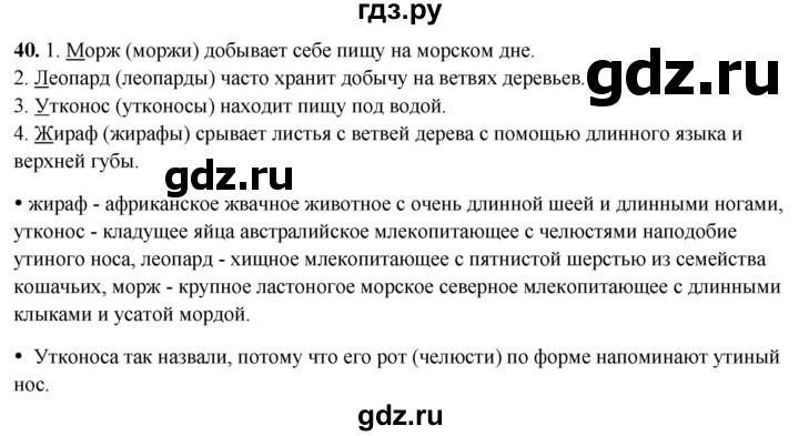 ГДЗ по русскому языку 2 класс  Канакина   часть 2 / упражнение - 40, Решебник 2025