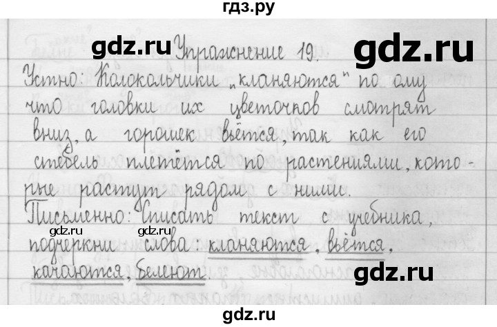 ГДЗ по русскому языку 3 класс  Рамзаева   упражнение - 19, Решебник 2016