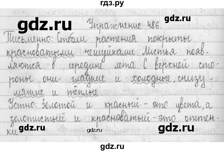 ГДЗ по русскому языку 3 класс  Рамзаева   упражнение - 486, Решебник 2016