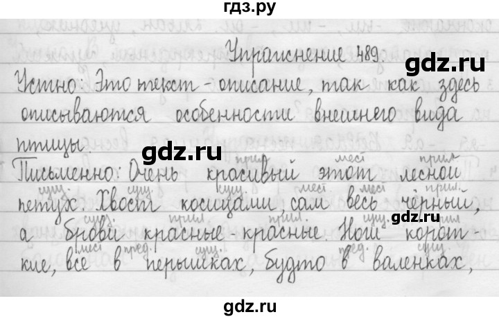 ГДЗ по русскому языку 3 класс  Рамзаева   упражнение - 489, Решебник 2016