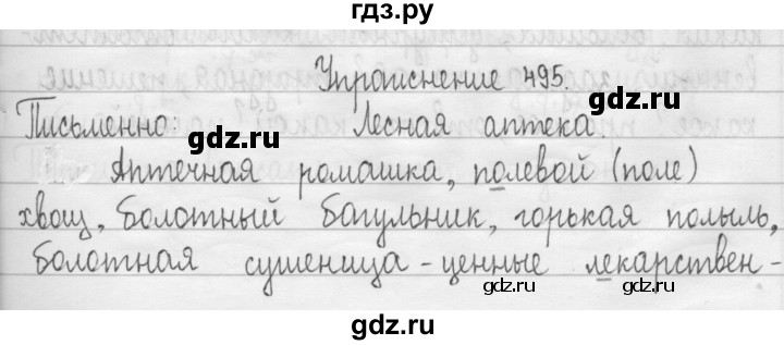 ГДЗ по русскому языку 3 класс  Рамзаева   упражнение - 495, Решебник 2016
