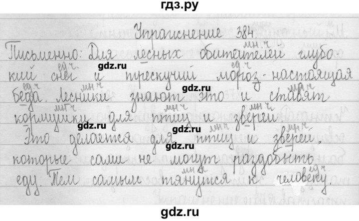ГДЗ по русскому языку 3 класс  Рамзаева   упражнение - 384, Решебник