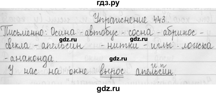 ГДЗ по русскому языку 3 класс  Рамзаева   упражнение - 443, Решебник