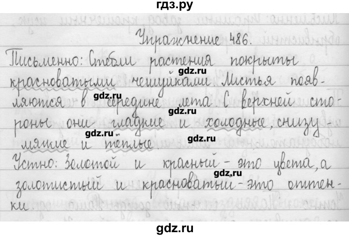 ГДЗ по русскому языку 3 класс  Рамзаева   упражнение - 486, Решебник
