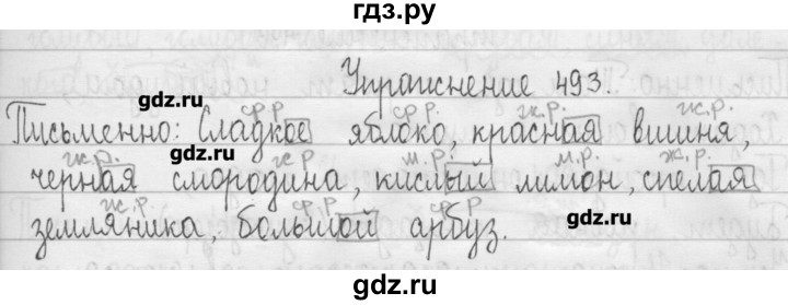 ГДЗ по русскому языку 3 класс  Рамзаева   упражнение - 493, Решебник
